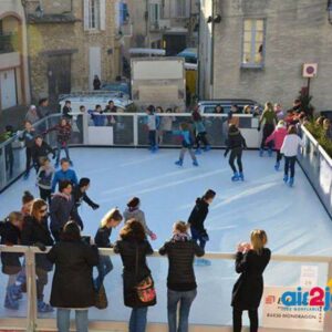 N920 PATINOIRE (sur devis) – Image 10