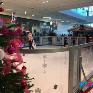 N920 PATINOIRE (sur devis) – Image 7