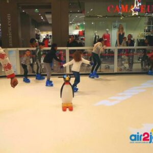 N920 PATINOIRE (sur devis) – Image 5